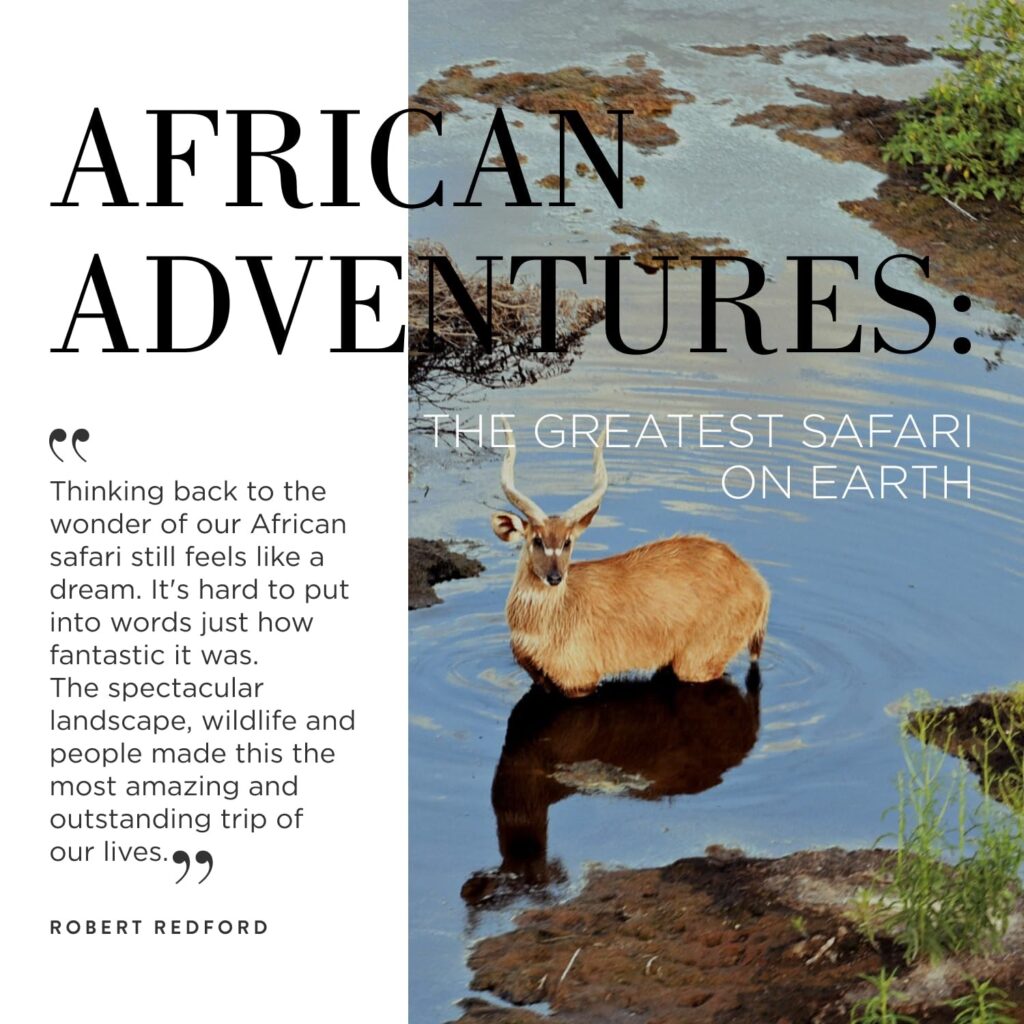 African Adventures: The Greatest Safari on Earth by Aline Coquelle (Hardcover)