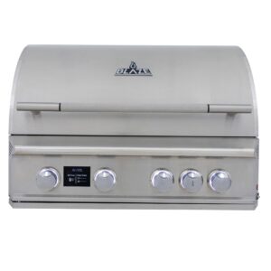 Blaze LTE PRO 32-Inch 4-Burner Gas Grill​ (Natural Gas)