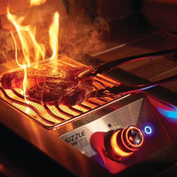 Napoleon Built-In 700 Series 32 with Infrared Rear Burner (Natural Gas)