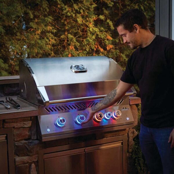 Napoleon Built-In 700 Series 32 with Infrared Rear Burner (Natural Gas)