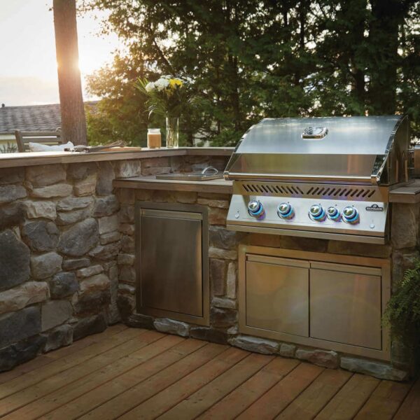 Napoleon Built-In 700 Series 32 with Infrared Rear Burner (Natural Gas)