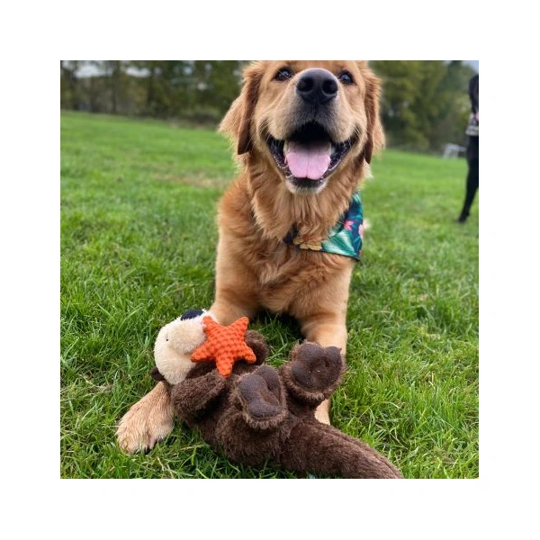 Tall Tails - Otter Rope Body Dog Toy