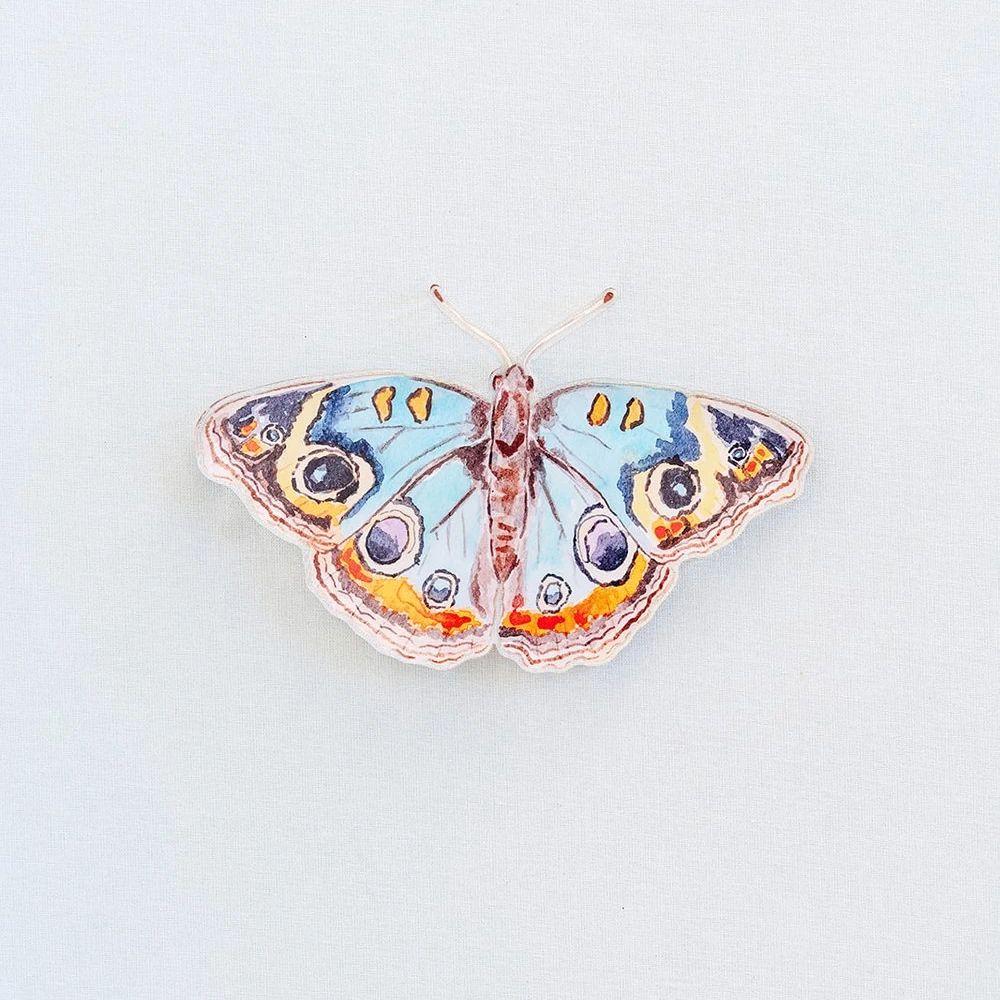 Catherine Cartie - Blue and Orange Butterfly Acrylic Art Block Large