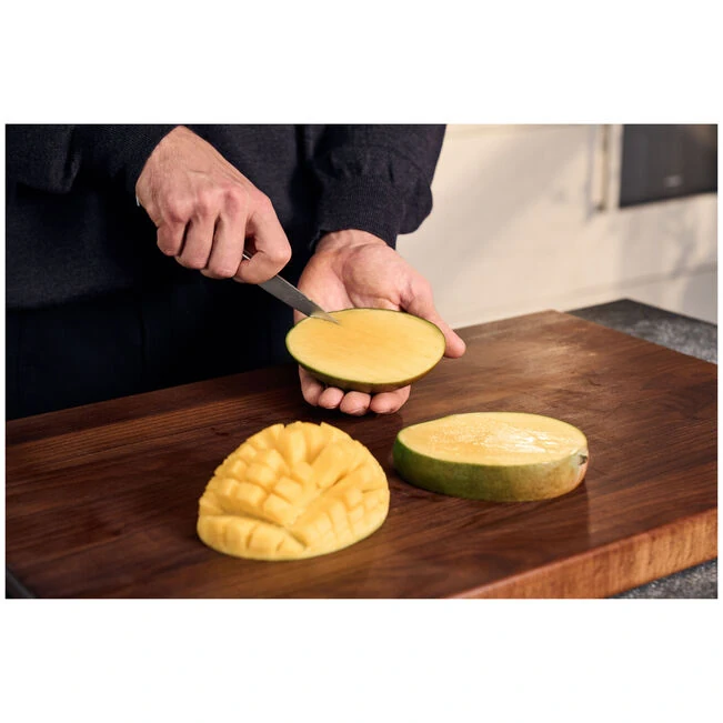 Zwilling Spectrum 4-inch, Paring Knife