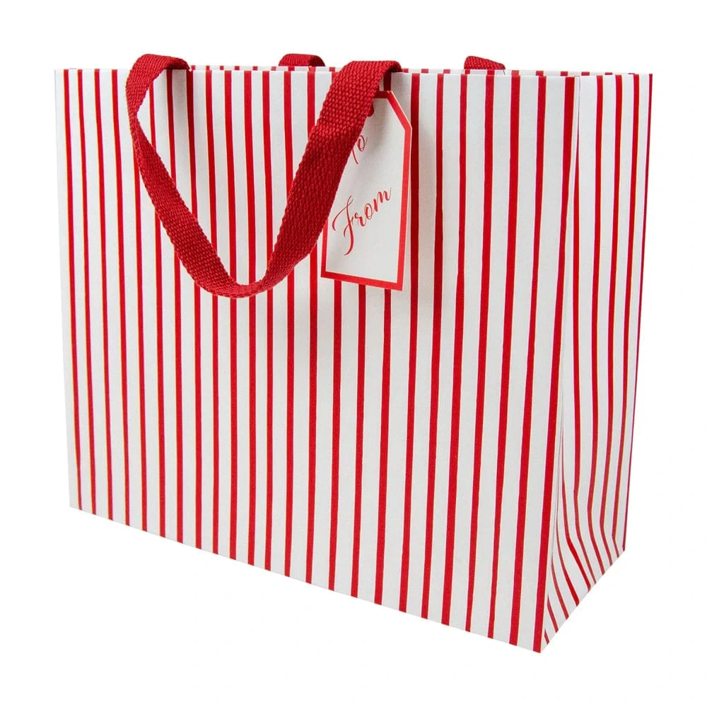 Caspari Stripes For Days Red & White Gift Bag - Large
