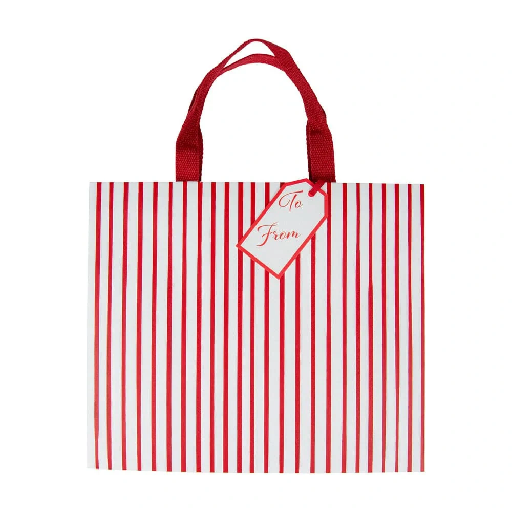 Caspari Stripes For Days Red & White Gift Bag - Large