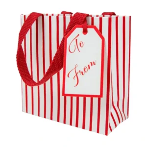 Caspari Stripes For Days Red & White Gift Bag - Small