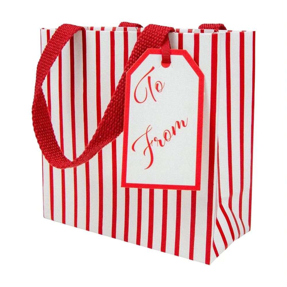 Caspari Stripes For Days Red & White Gift Bag - Small