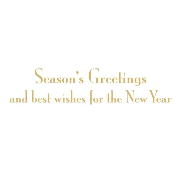 Caspari Botanical Noel And Fretwork Boxed Christmas Cards