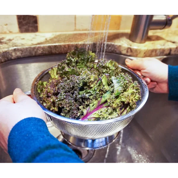 Endurance Precision Pierced Colander