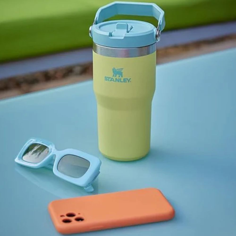 Stanley tumblers and flasks on sale