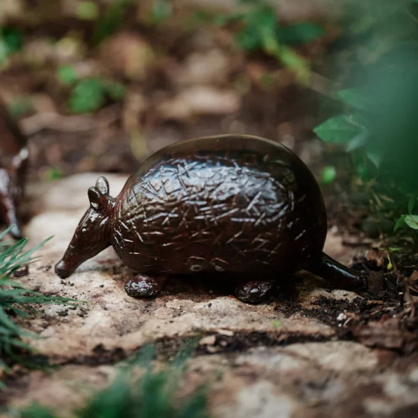 Jan Barboglio Armadillo