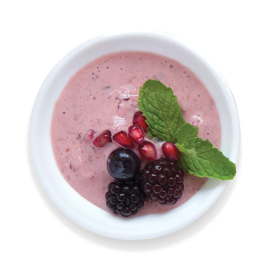 Zoku Jumbo Slush & Shake Maker - Purple