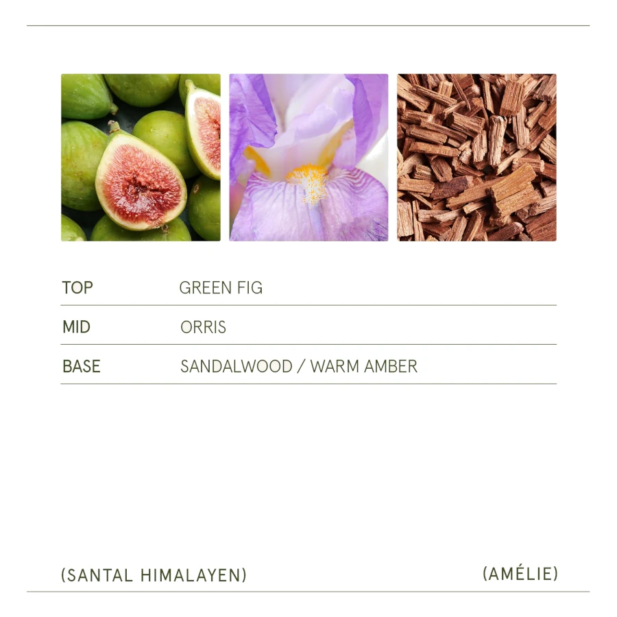 La Joile Muse Amélie – Santal Himalayen Candle 11oz