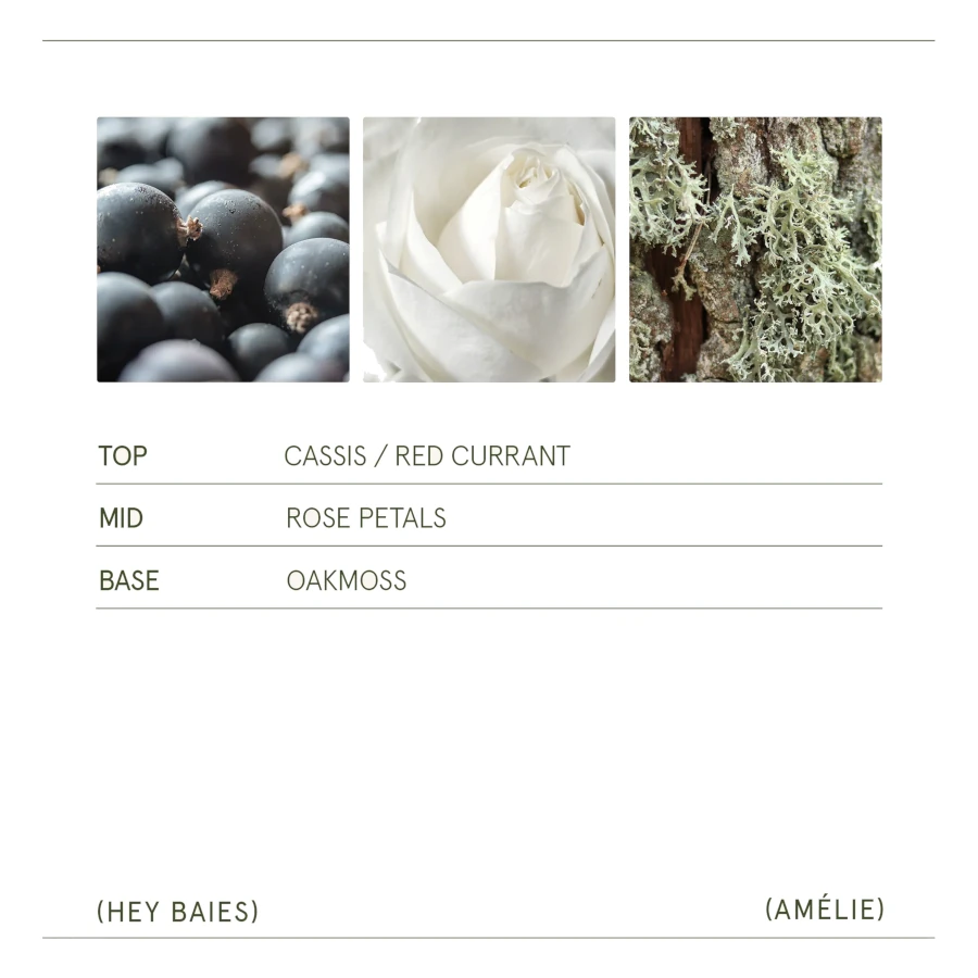La Joile Muse Amélie – Hey Baies Candle 11oz