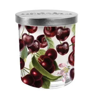 Michel Design Works Dark Cherry Decorative Glass Candle
