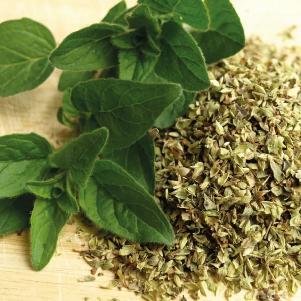 Cokinos Spartan Organic Oregano – 2 oz Jar