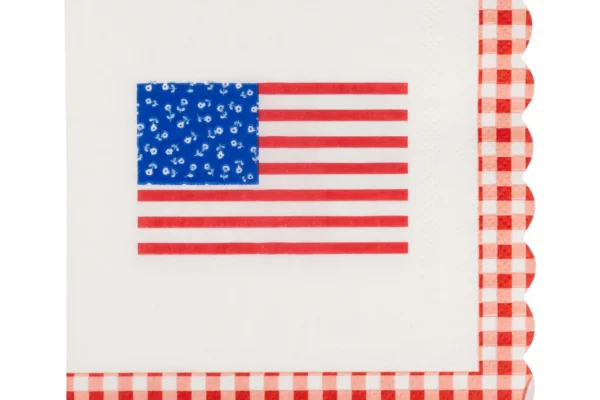 My Mind's Eye - Gingham Flag Paper Cocktail Napkins, Pack of 24