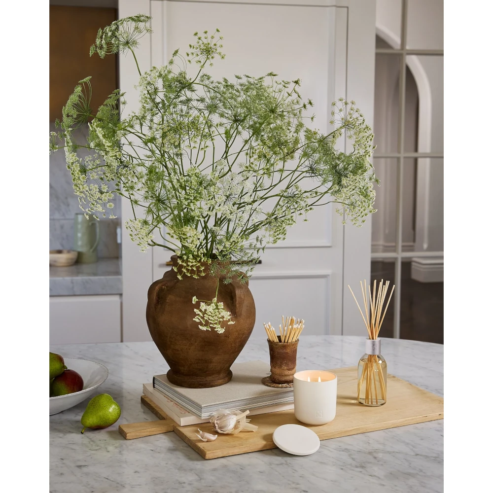CIRCA White Tea & Wild Mint Scented Candle, 10.6 oz.