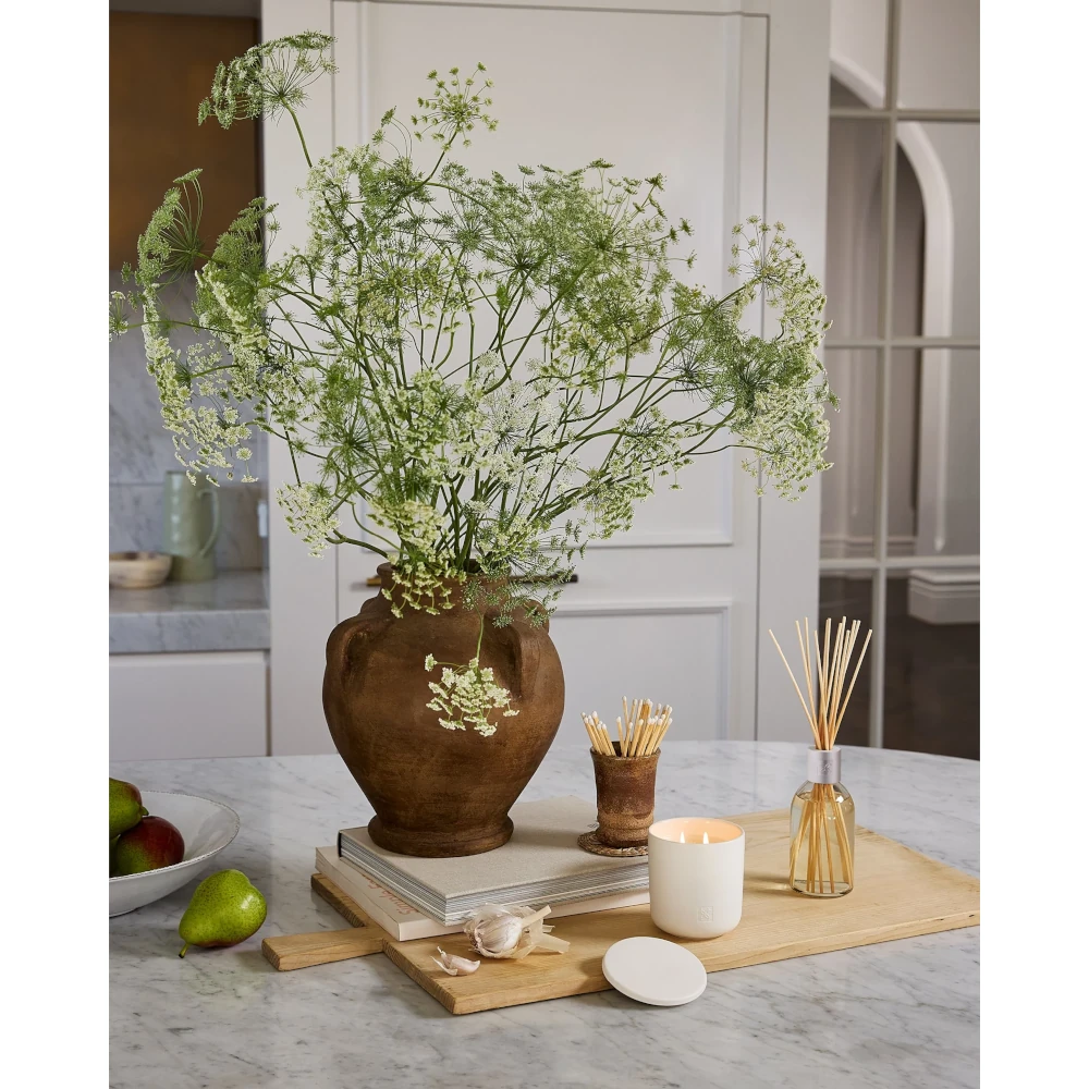 CIRCA White Tea & Wild Mint Fragrance Diffuser, 15.2 fl. oz.
