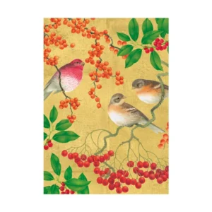 Caspari Birds And Berries Small Boxed Christmas Cards