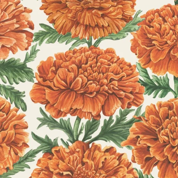 Hester & Cook Marigold Harvest Cocktail Napkins, 20 Pack