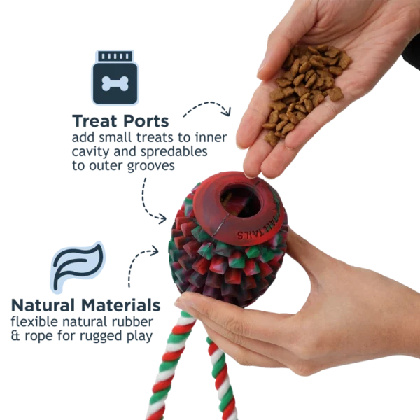 Tall Tails Natural Rubber Pinecone Treat-And-Tug Dog Toy2